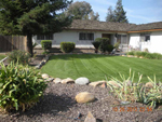 Beautiful  cut lawn