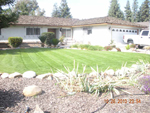 beautiful cut lawn 