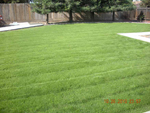 Lawn well cut 