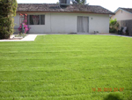 Lawn freashly cut 