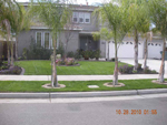 beautiful lawn freashly cut 