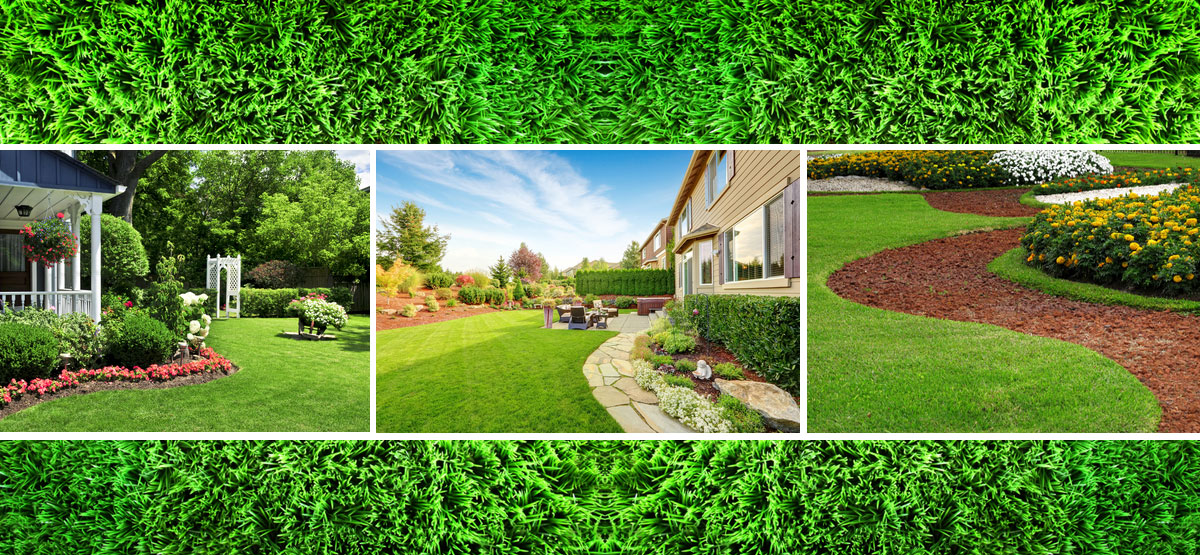 Lawn Service Visalia